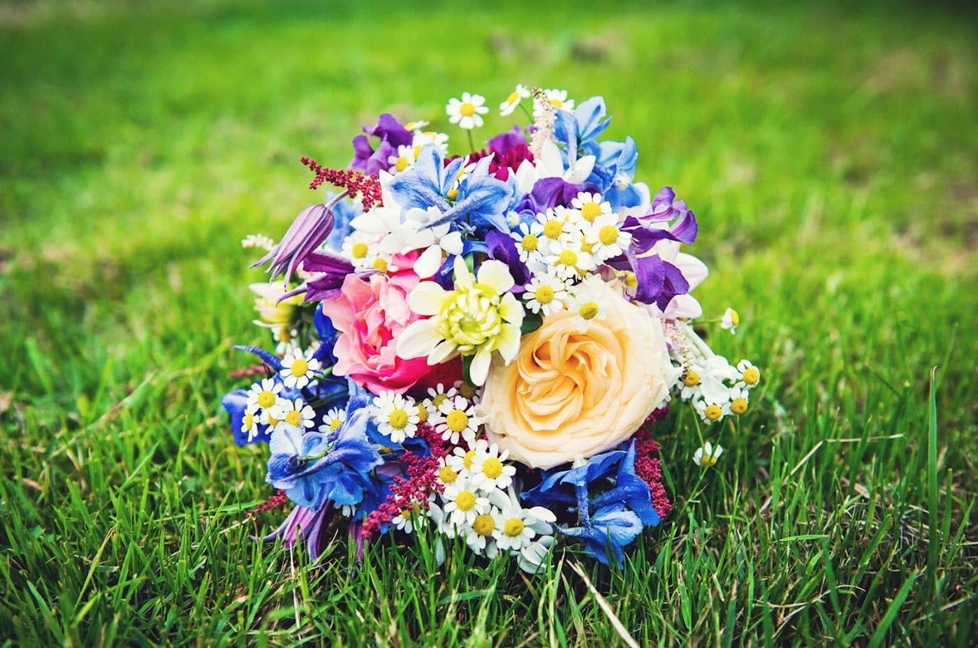 Bijzondere bloemen die je niet bij elke bloemist tegenkomt